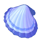 Muscheln-2.png