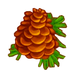 Tannenzapfen.png